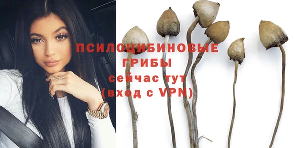 гашик Алзамай