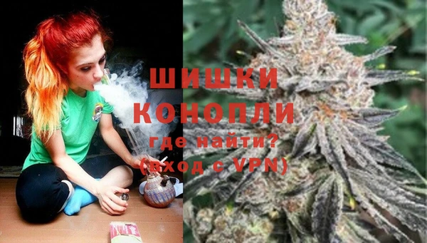 гашик Алзамай