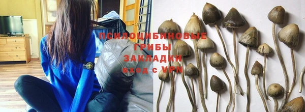 кокаин премиум Алексин