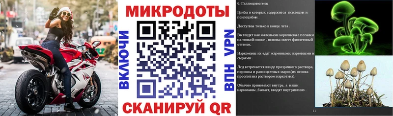 Галлюциногенные грибы Cubensis  Бабушкин 